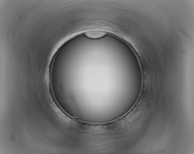 X0000111191516200907011401