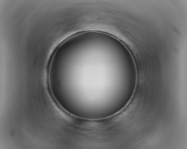 X0000111191517200907011401