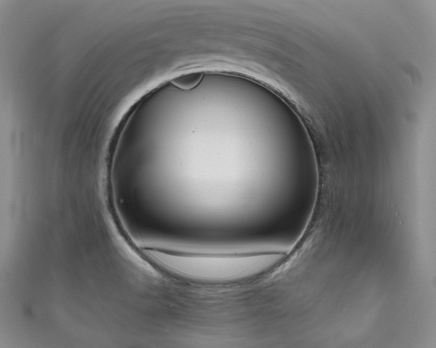 X0000111191518200907011401