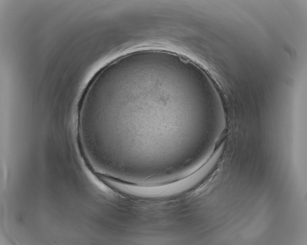 X0000111191519200907011401