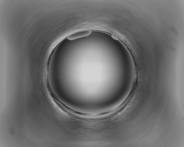 X0000111191520200907011401