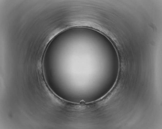 X0000111191521200907011401