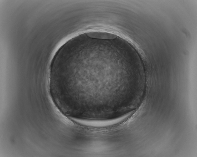 X0000111191522200907011401