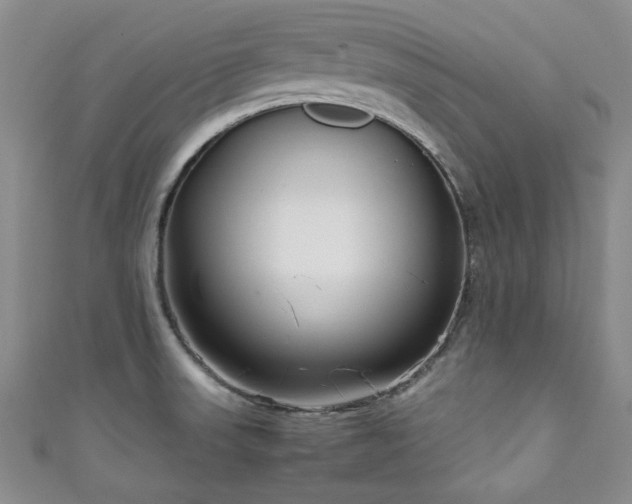 X0000111191523200907011401