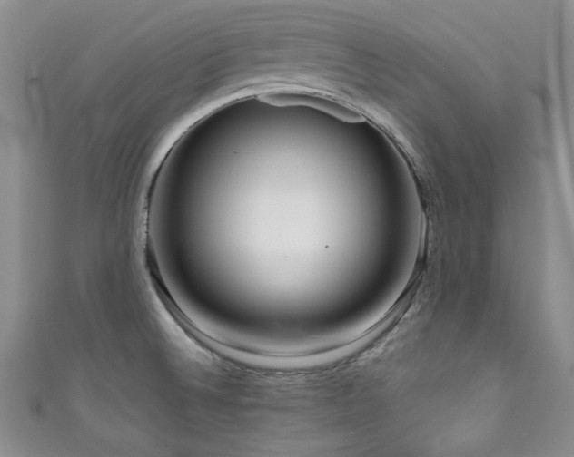 X0000111191524200907011401