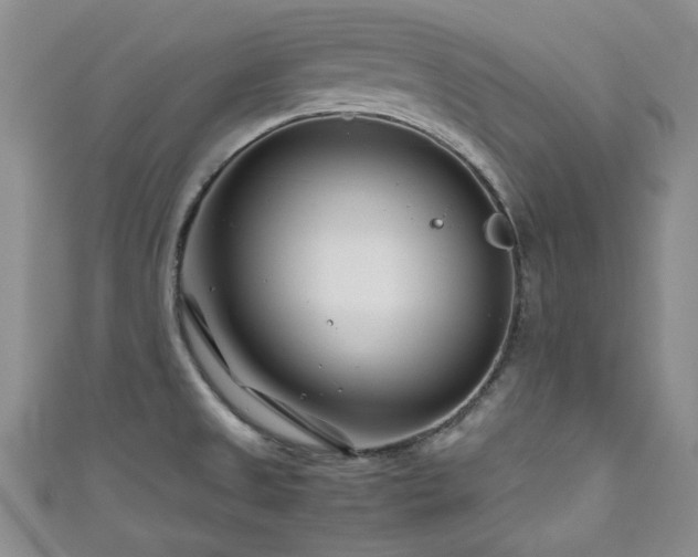 X0000111191525200907011401