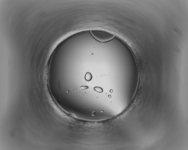 X0000111191526200907011401