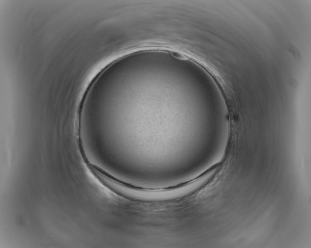 X0000111191527200907011401