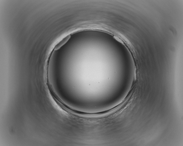 X0000111191528200907011401