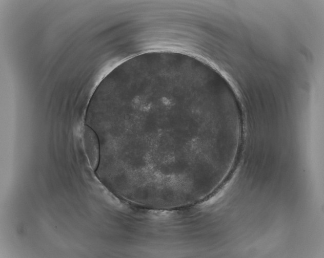 X0000111191529200907011401