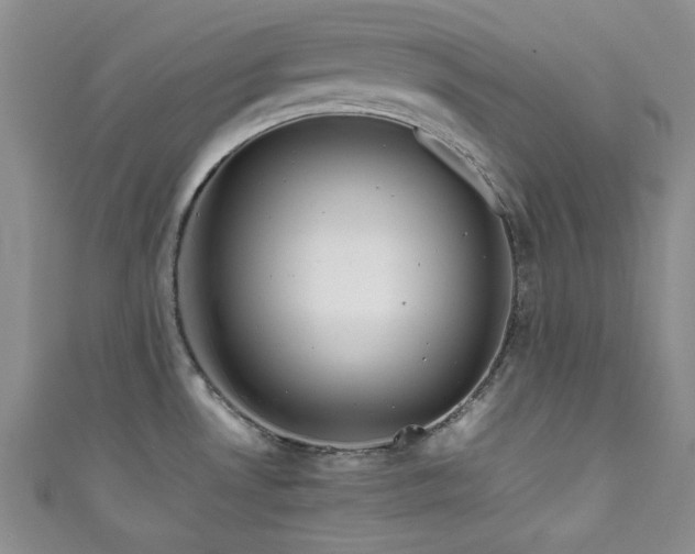 X0000111191530200907011401