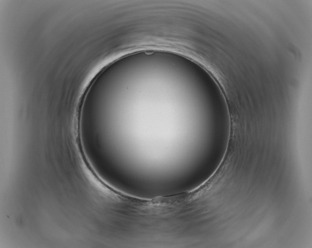 X0000111191531200907011401