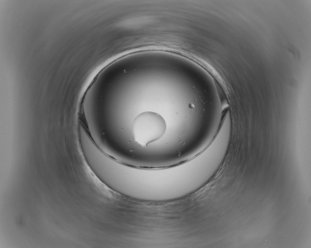 X0000111191532200907011401