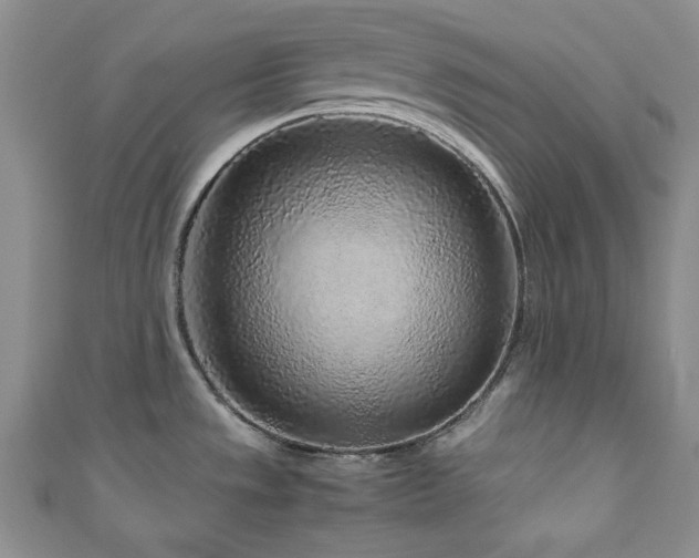 X0000111191533200907011401