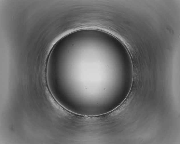 X0000111191534200907011401