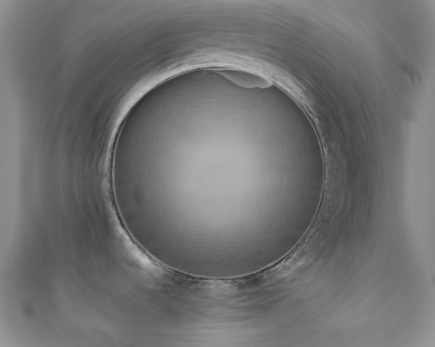 X0000111191536200907011401