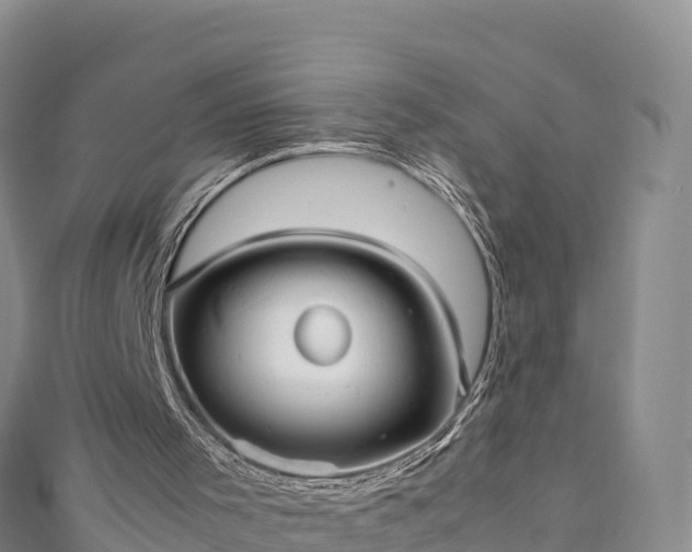 X0000111190001200907081305