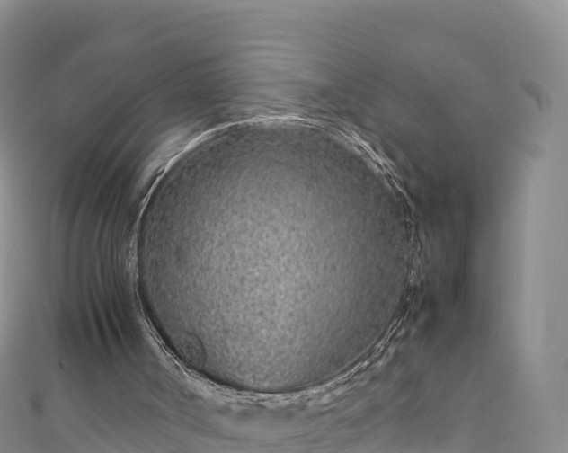 X0000111190002200907081305