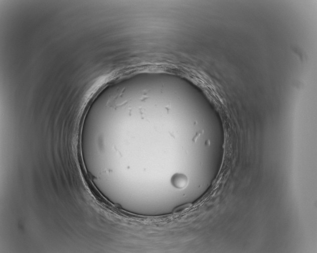 X0000111190003200907081305