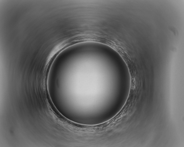 X0000111190004200907081305