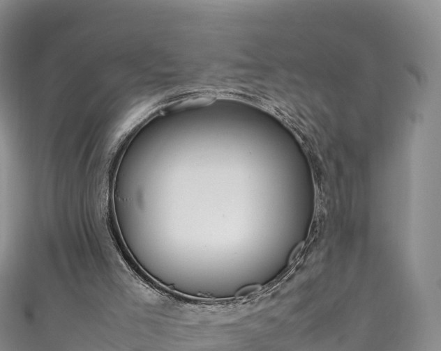 X0000111190005200907081305