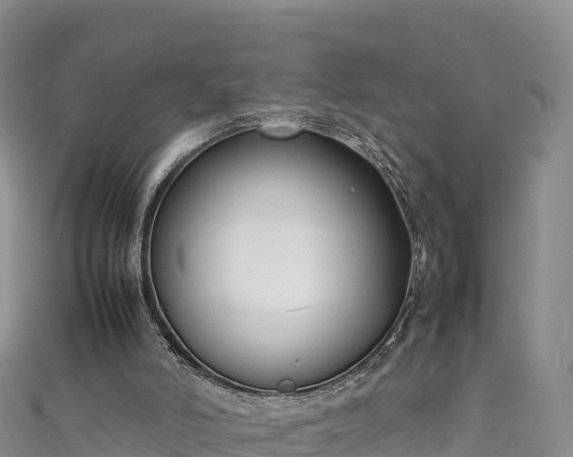 X0000111190006200907081305