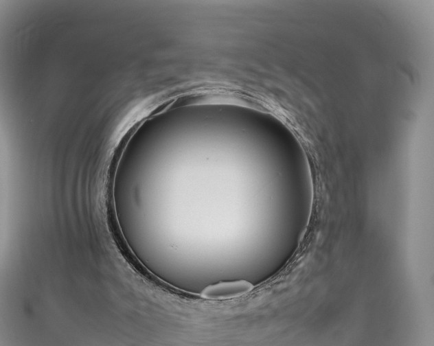 X0000111190007200907081305