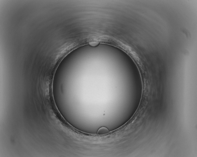 X0000111190010200907081305