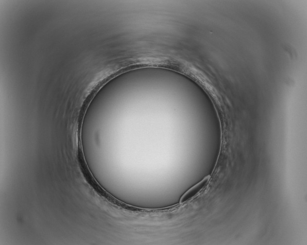 X0000111190011200907081305