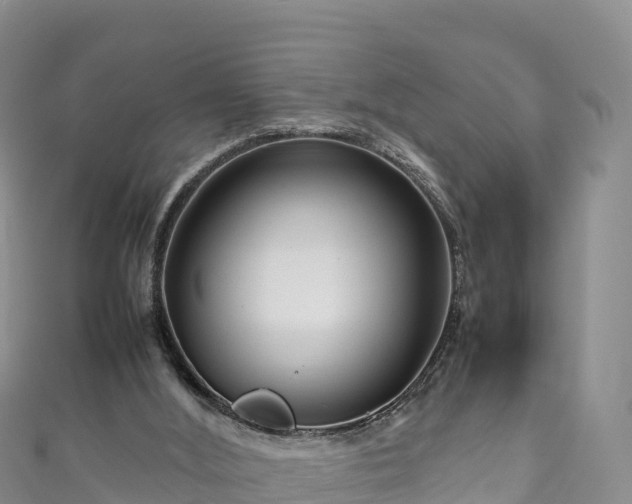 X0000111190012200907081305