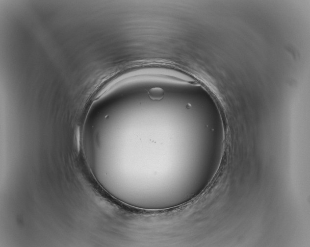 X0000111190013200907081305