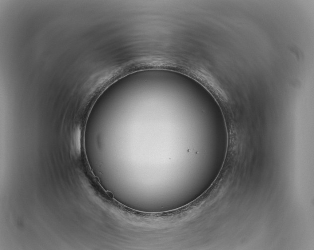 X0000111190014200907081305