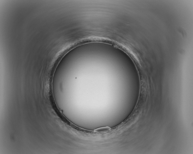 X0000111190015200907081305