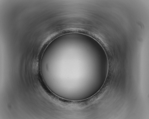 X0000111190016200907081305