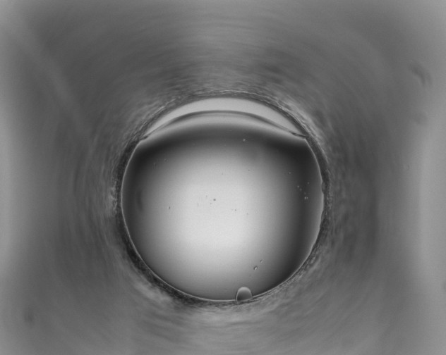 X0000111190017200907081305