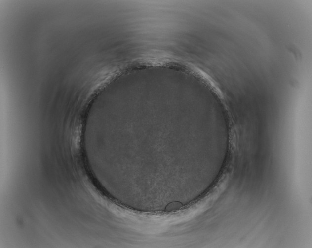 X0000111190018200907081305