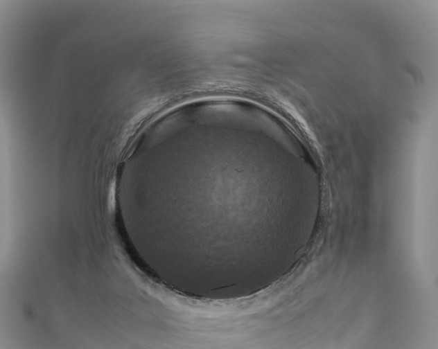 X0000111190019200907081305