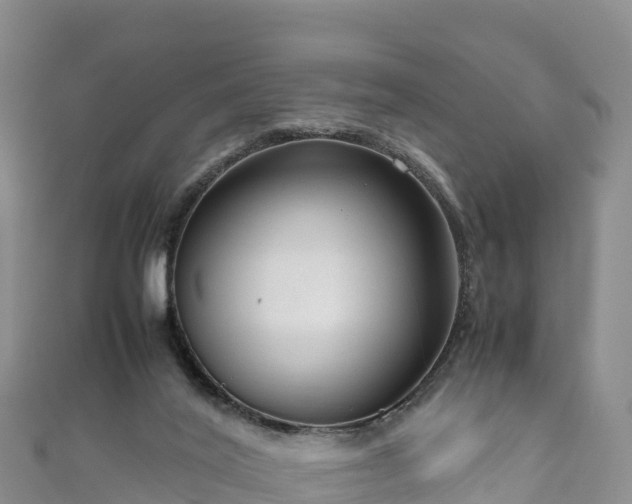 X0000111190020200907081305