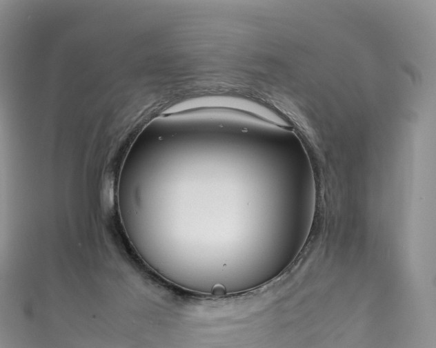 X0000111190021200907081305