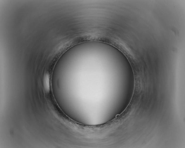 X0000111190022200907081305