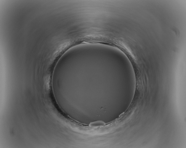 X0000111190023200907081305