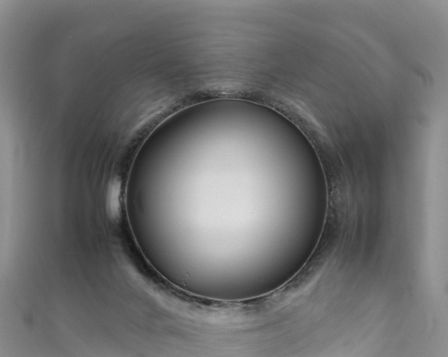 X0000111190024200907081305