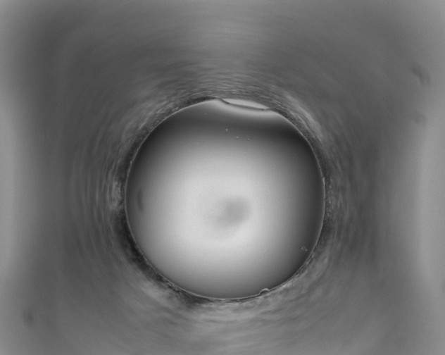 X0000111190025200907081305