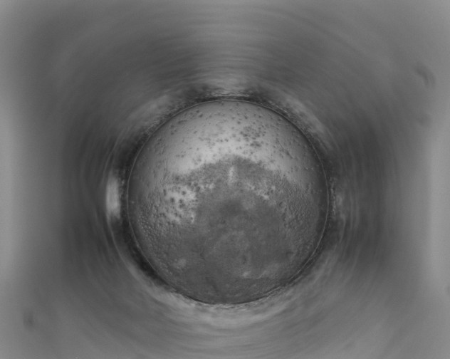 X0000111190026200907081305