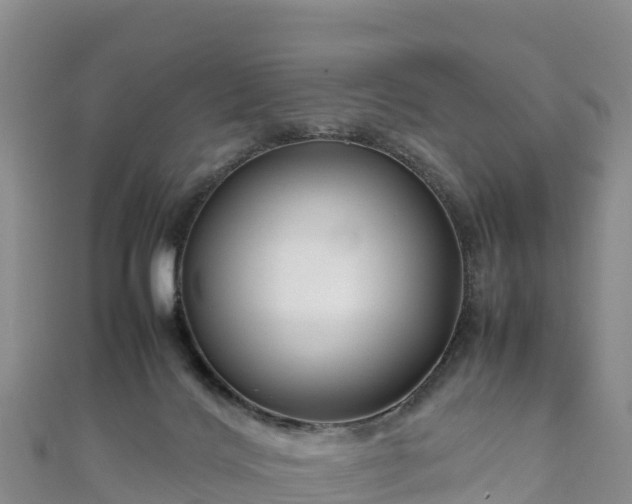 X0000111190028200907081305