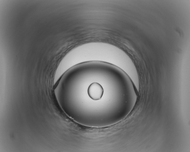 X0000111190029200907081305