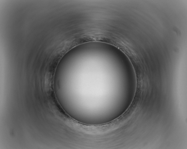 X0000111190030200907081305