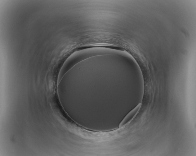 X0000111190031200907081305