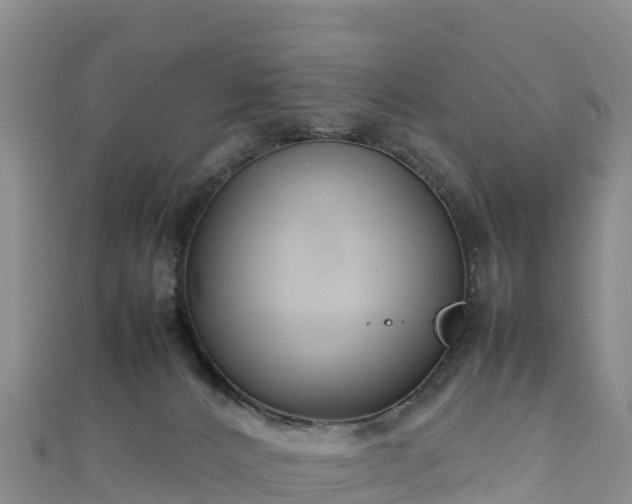 X0000111190032200907081305