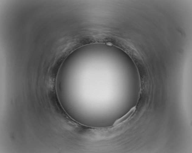 X0000111190033200907081305